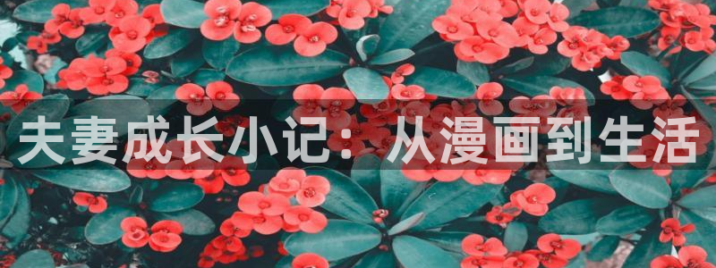 虫虫漫画观看页面漫画入口在哪